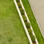 An aerial photo showcasing geometric landscaping with circular shrubs and a brick pathway.