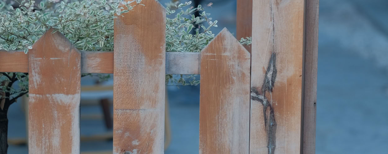 Close-up of a wooden fence with plants and gravel in an outdoor garden setting.